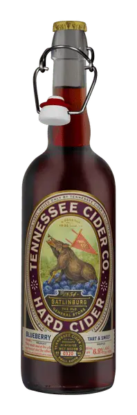 Blueberry Hard Cider