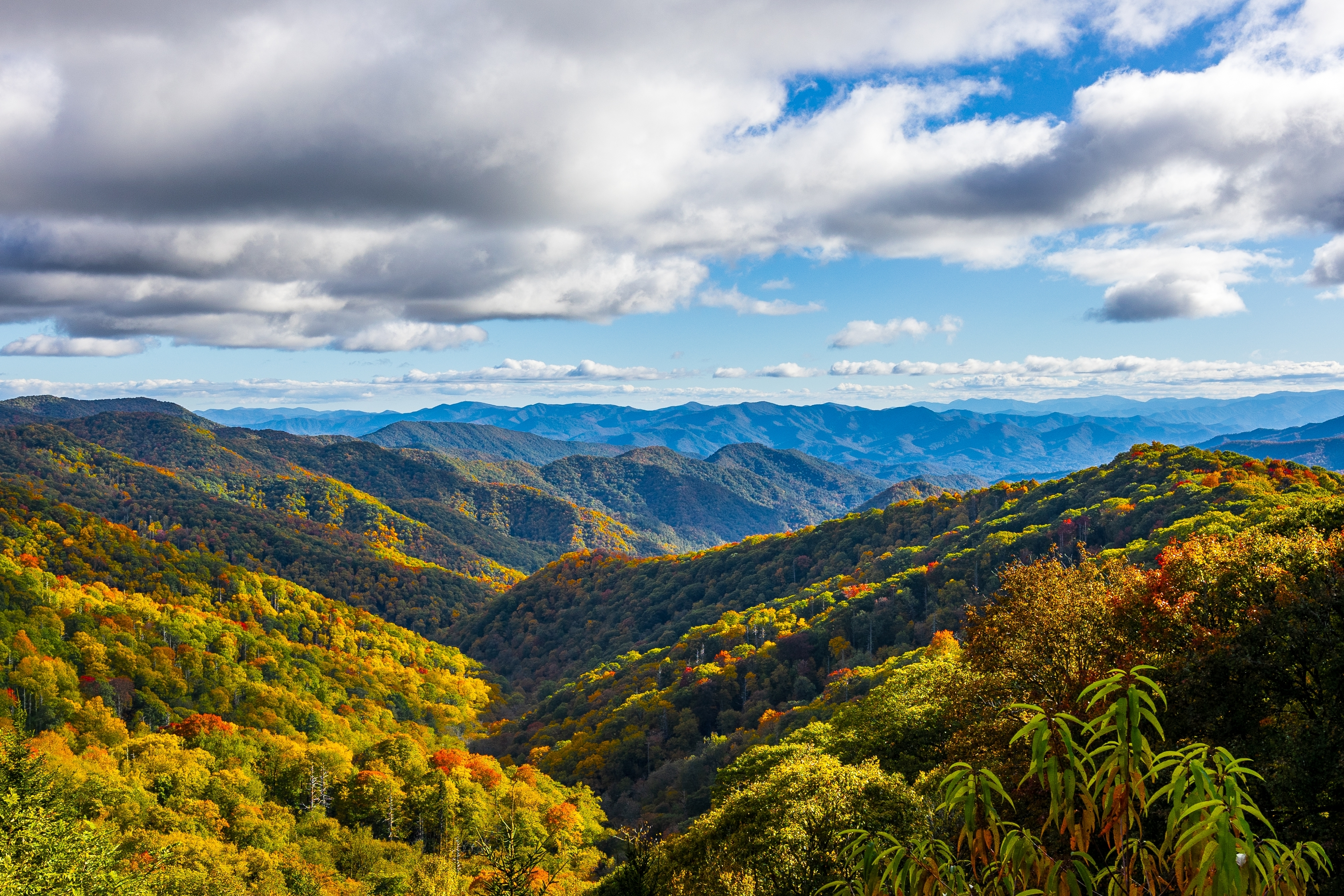 Smoky Mountains during the fall